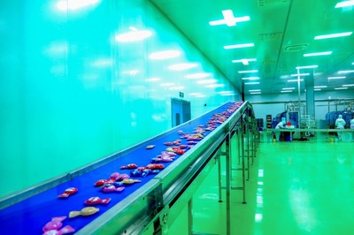 走進(jìn)妙飛透明工廠,讓品質(zhì)看得見(jiàn)