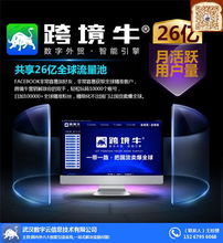 跨境引流系統(tǒng) 外貿(mào)企業(yè)獲取流量的關鍵軟件服務